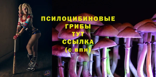 бошки Верхний Тагил
