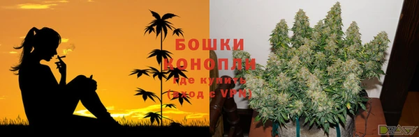 шишки Верхнеуральск