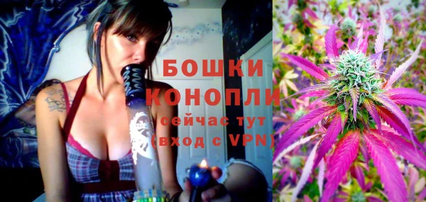 бошки Верхний Тагил