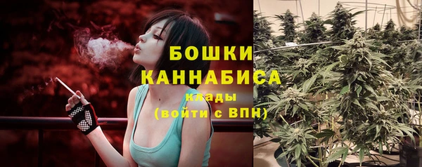 бошки Верхний Тагил
