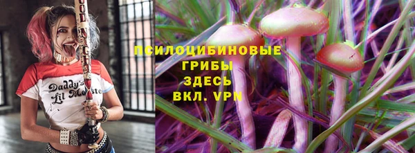 бошки Верхний Тагил