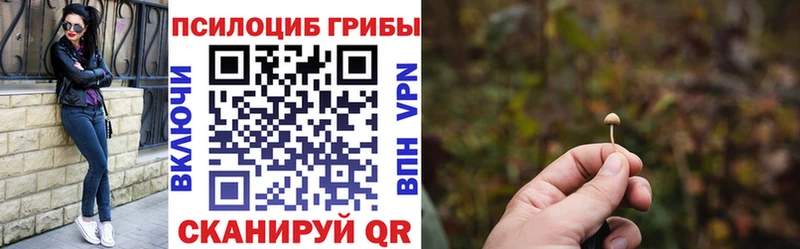 Псилоцибиновые грибы MAGIC MUSHROOMS  Осинники 